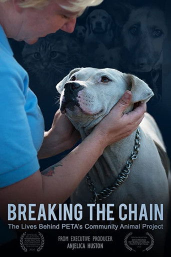 Breaking the Chain 2020
