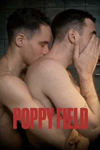 Poppy Field 2022