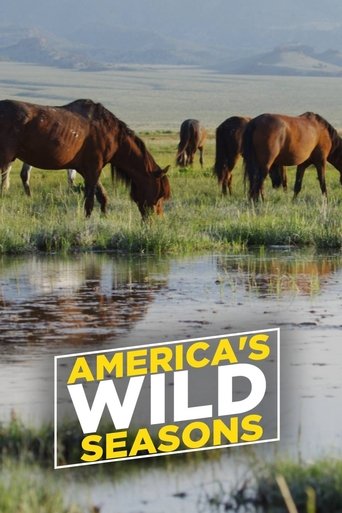 America's Wild Seasons 2019