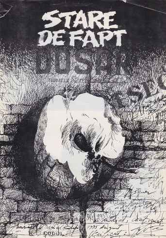 State of Things 1995