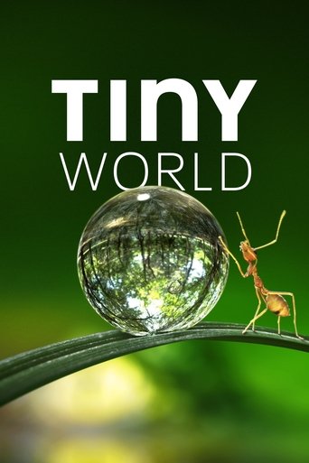 Tiny World 2020