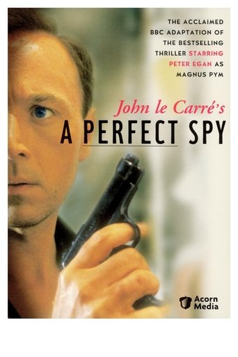 A Perfect Spy 1987