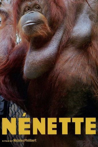 Nénette 2010