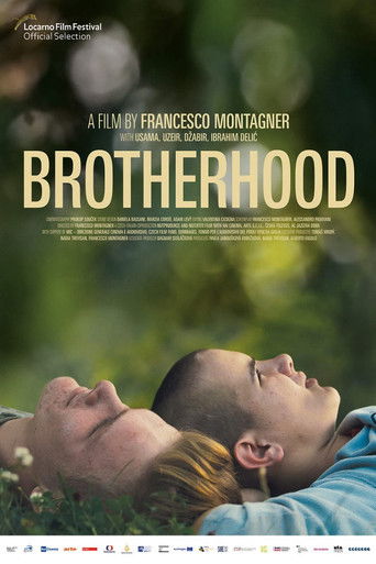 Brotherhood 2022