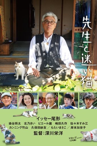 Teacher and Stray Cat 2015