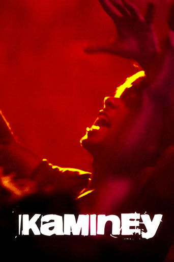 Kaminey 2009