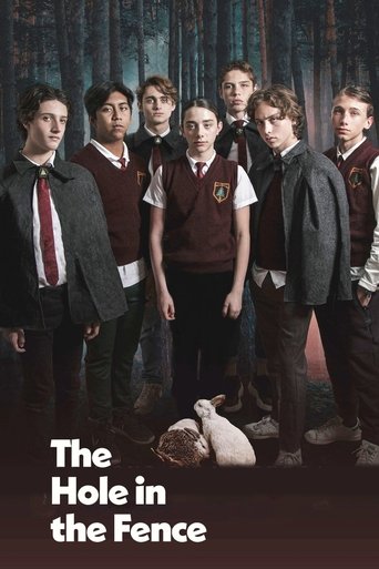 The Hole in the Fence 2021