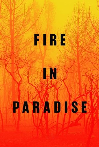 Fire in Paradise 2019