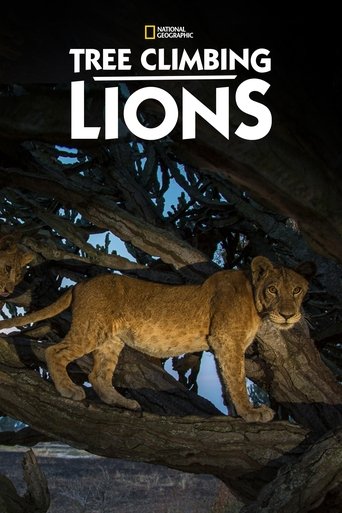 Tree Climbing Lions 2018