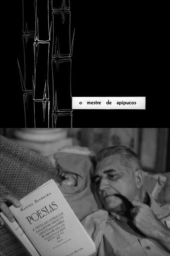 The Master of Apipucos 1959