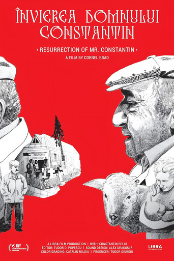 Resurrection of Mr. Constantin 2019