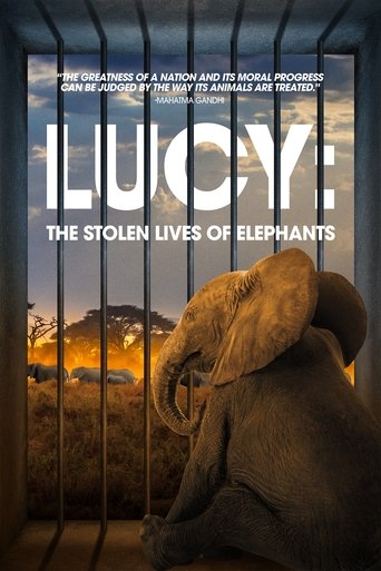 Lucy: The Stolen Lives of Elephants 2025