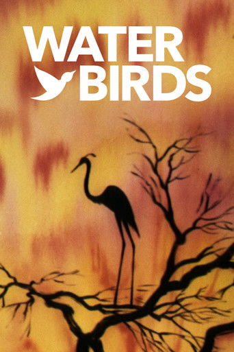 Water Birds 1952