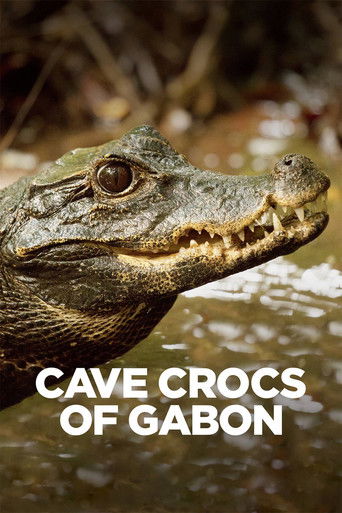 Cave Crocs of Gabon 2018