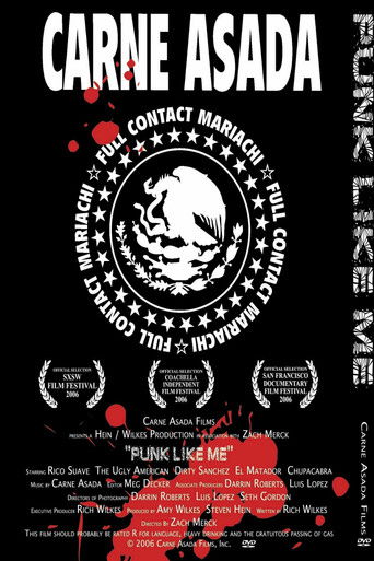 Punk Like Me 2006