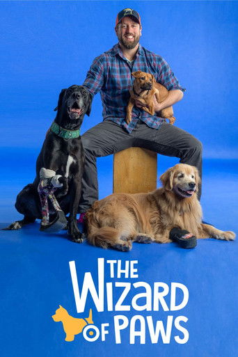 The Wizard of Paws 2020