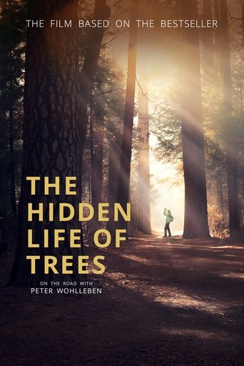 The Hidden Life of Trees 2020
