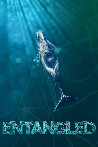 Entangled 2020