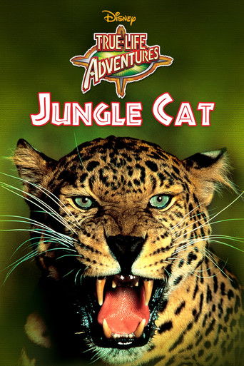 Jungle Cat 1960