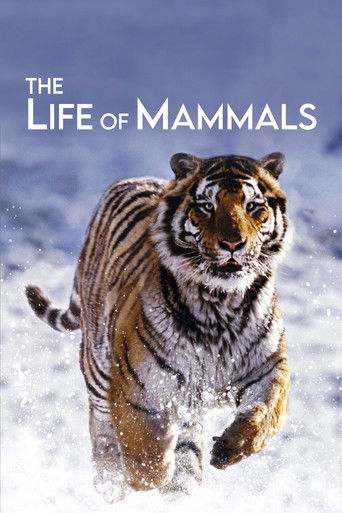 The Life of Mammals 2002