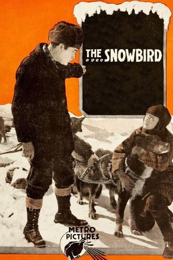 The Snowbird 1916