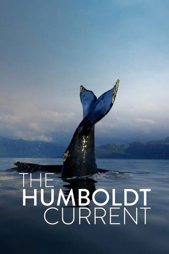 The Humboldt Current 2021