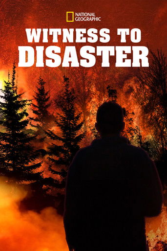 Witness to Disaster 2019