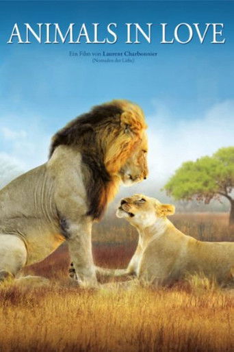 Animals in Love 2007