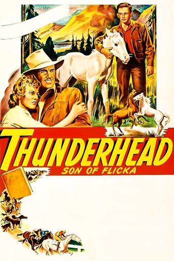 Thunderhead: Son of Flicka 1945