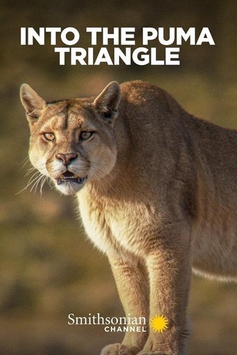 Into the Puma Triangle 2020