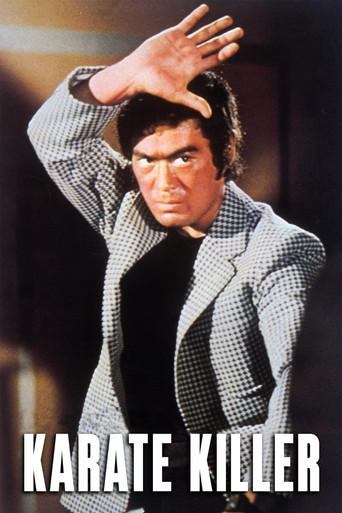 Bodyguard Kiba 2 1973