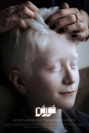 The Badger 2020