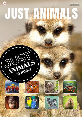 Just Animals 2018
