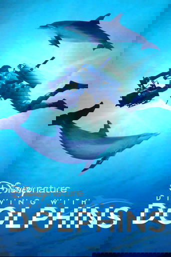 Diving with Dolphins 2020